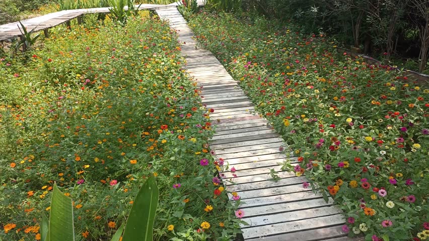 walkway pathway in flower garden park