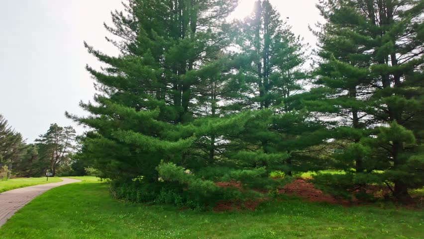 Scenic Views of Minnesota Landscape Arboretum in Summer