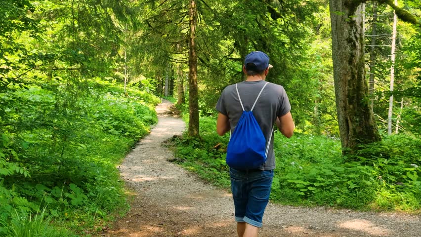 A man hikes through the lush, dense greenery of an alpine forest near Lake Schwarzsee, Fribourg, Switzerland