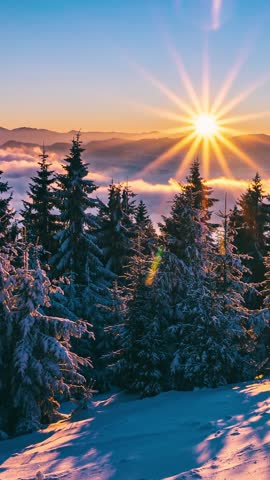 Golden Sunrise Over Snowy Winter Forest Vertical Timelapse