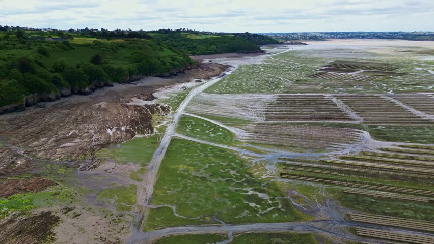 Popular oyster park at low tide with water channels and surrounding greenery from above, Parc à Huitres, Brittany, France.