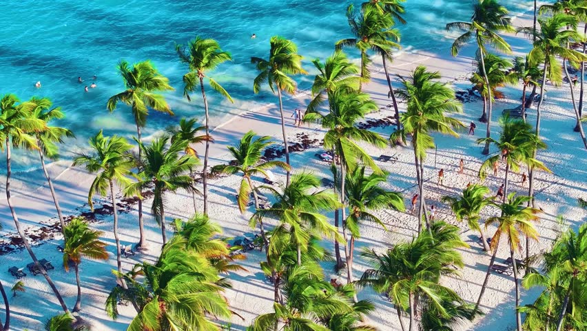 Aerial view of Caribbean palm beach sea. Luxury tourism concept for resort and hotel. Perfect beach scene, palm trees and calm sea water with soft waves. Exotic summer vacation. Paradise island.