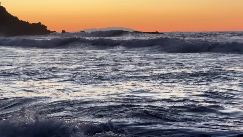 Shutterstock Video