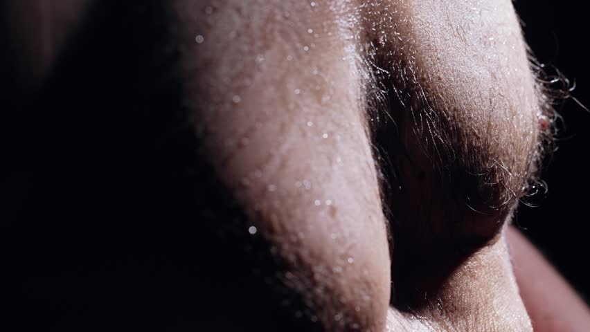 Sweaty Hairy Muscular Male Torso After Intense Workout