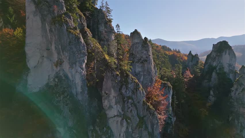 Aerial View of Colorful Autumn Forest in Rocky Mountains Nature