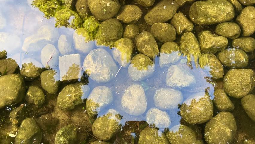 Little lake rocks in public lake park. (4K video)