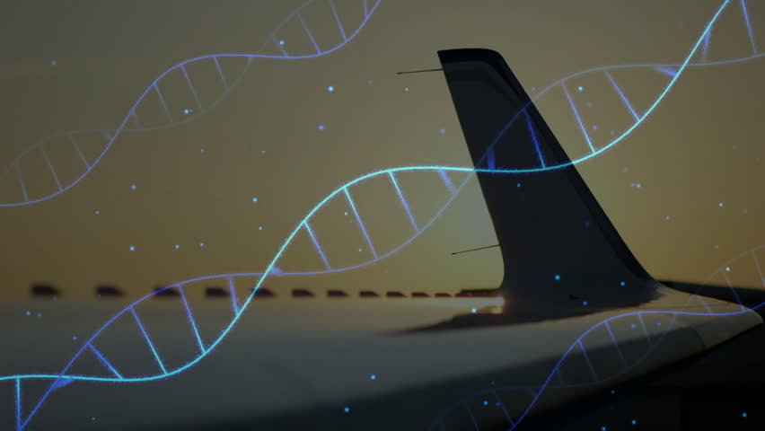 Shutterstock Video