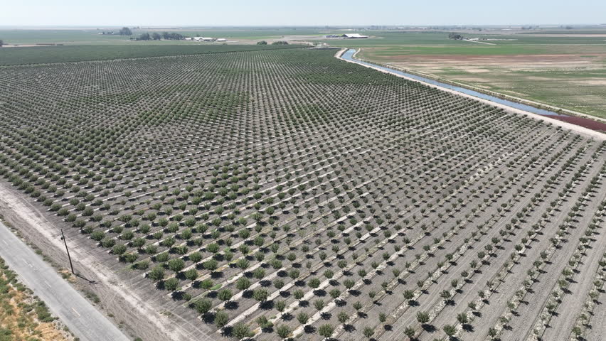 Tulare Lake Nearby Farmland Aerial Shot Forward in San Joaquin Valley California USA