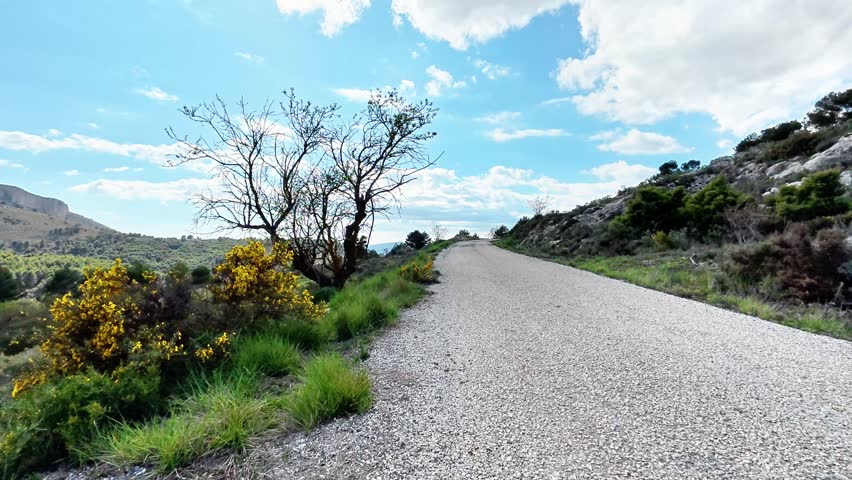 A Serene and Picturesque Gravel Road that is Lovely, Surrounded by Natures Beauty and Splendor