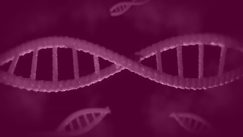 Glow starting over Brazil and DNA helix shifting pulse moving across continents showing data labels. Futuristic, global, connectivity, technology, innovation, network, digital - Powered by Shutterstock - Get 15% off with code: PIKWIZARD15