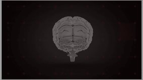 Gray 3D brain rotating on startup, red scanning arc pulsing, drawing white lines to timeline labels. Neuralnetwork, data visualization, futuristic, technology, digital, innovation, abstract - Powered by Shutterstock - Get 15% off with code: PIKWIZARD15