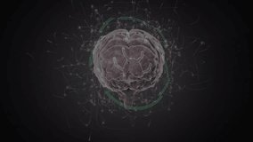 3D digital brain model rotating after green ring appears, pulsing circuits mapping neural data flow. Neuroscience, technology, innovation, visualization, connectivity, digital, futuristic - Powered by Shutterstock - Get 15% off with code: PIKWIZARD15