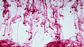 Macro Shot of Purple Dye Drops in Water – Vivid Ink Diffusion and Fluid Dynamics in 4K Ultra HD - Powered by Shutterstock - Get 15% off with code: PIKWIZARD15