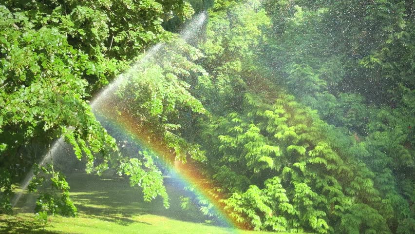 Rainbow forms in sunlight through water spray from sprinkler system in green park landscape