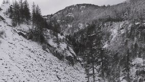 Majestic Winter Landscape of Snow-Covered Mountains and Pine Forests in British Columbia, Canada - Powered by Shutterstock - Get 15% off with code: PIKWIZARD15