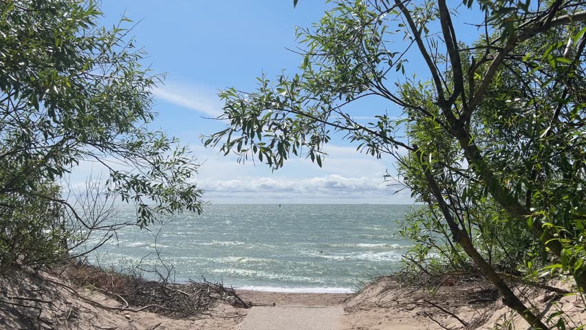 Klaipeda, Lithuania - June 25, 2025: The coastal beach landscape view in summer, hot sunny weather outside, Baltic Sea walk, waves, blue bright sky and light, trees around, framing creative, art piece
