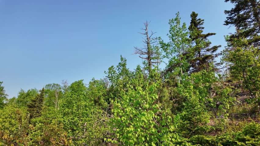 Scenic Cliffs and Rocks of North Shore of Lake Superior in Wisconsin