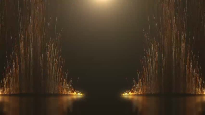 Shutterstock Video