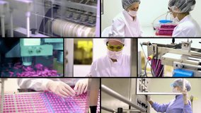 Pharmaceutical Industry - Split Screen Video Montage. Pill Manufacturing and Packaging Line. Pharmaceutical Technology. Pharmaceutical Manufacturing Machines and Pharmaceutical Industry Workers. - Powered by Shutterstock - Get 15% off with code: PIKWIZARD15