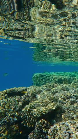 Vertical footage, Moving forward along the edge of a flat-top on a shallow coral reef, reflected on the water's surface during doldrums, against a blue water background