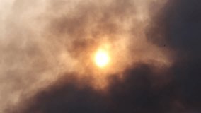 Birds flying across sun obscured by smoke - Powered by Shutterstock - Get 15% off with code: PIKWIZARD15