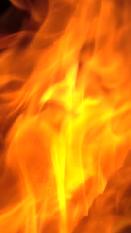 burning fire, firewood coal closeup in the fireplace, slow motion. Vertical video