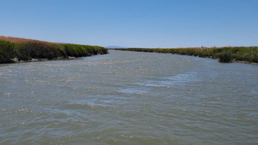 A calm river winding through green marshland under a clear blue sky. Natural wetland landscape with rippling water and reeds along the banks.