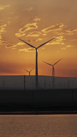 Windmills windpower turbines near lake before sunrise with reflection in water landscape, birds flying in sky. Vertical video