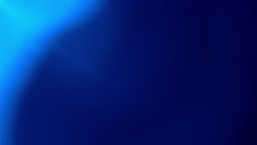 Shutterstock Video