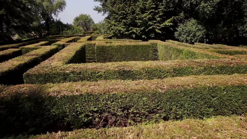Aerial shot of an intricate hedge maze, showcasing its complex geometric patterns. Ideal for mystery, puzzle, or garden themes.