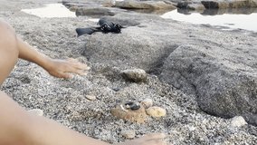 Beach stone figure. Pebbles sand stick.Popular toy, trend, image. High quality photo - Powered by Shutterstock - Get 15% off with code: PIKWIZARD15