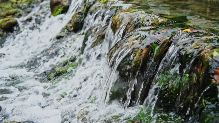 Shutterstock Video