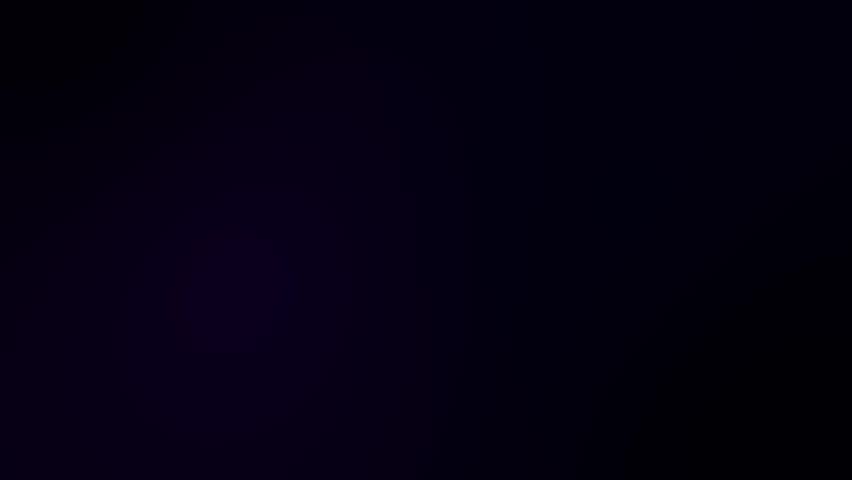Shutterstock Video