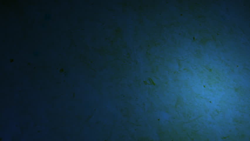 Missing persons file on animated blue title sequence background PUSH shot