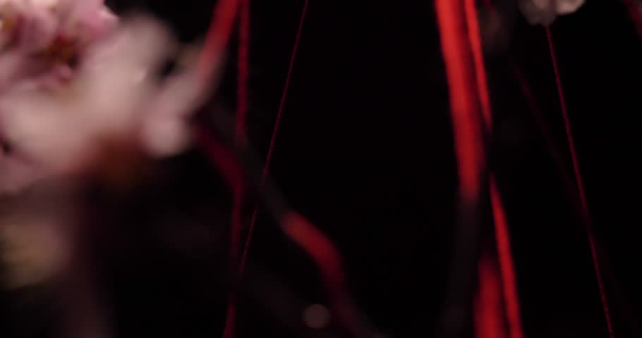 A web of red threads entangles flowering almond branches on a black background. The camera moves within the exposure. Visualization of psychological problems. Arachnophobia