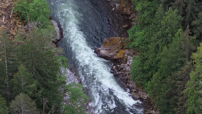 Aerial View of Roaring River Rapids Winding Through Lush Green Forest in British Columbia, Canada
