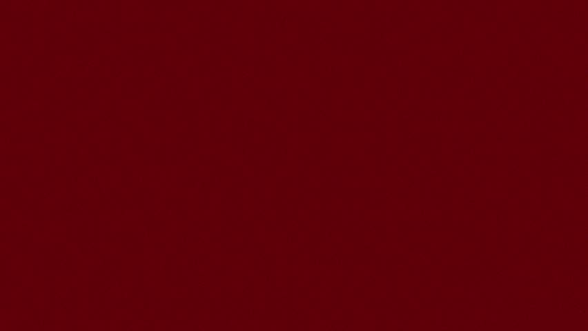 Shutterstock Video