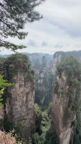 Tall sandstone cliffs with tree cover rise through misty mountain landscape in Zhangjiajie National Forest Park , tc01