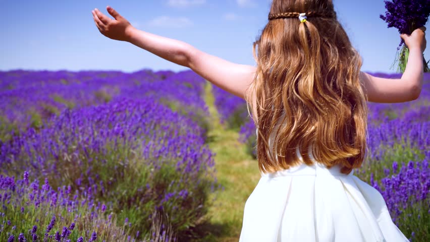 A happy girl in a white dress runs through a beautiful lavender field in full bloom during summer time