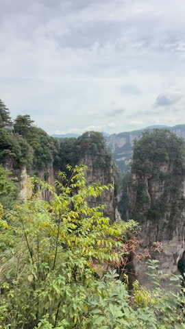 Tall sandstone cliffs with tree cover rise through misty mountain landscape in Zhangjiajie National Forest Park , tc01