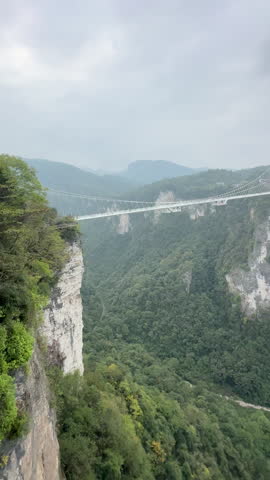 Tall sandstone cliffs with tree cover rise through misty mountain landscape in Zhangjiajie National Forest Park , tc01