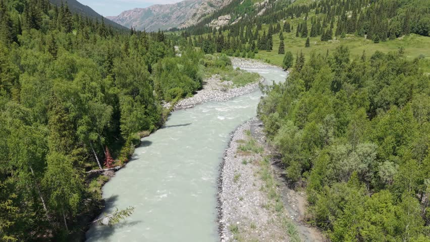 Turquoise river winding through verdant valley, dense coniferous forests flanking rocky riverbanks, creating pristine wilderness landscape in siberian mountain region