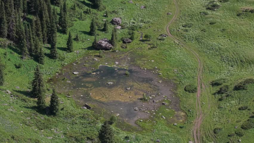 Verdant mountain valley revealing lush green meadows, pine covered slopes, reflective pond mirroring sunlight, dirt road winding through pristine wilderness landscape