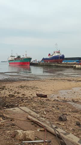 Two large cargo ships—one red and green, the other blue and red—are docked side by side at a coastal pier.