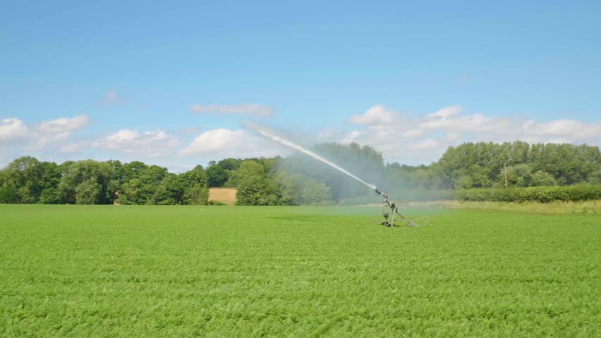Water cannon or field irrigation spraying on crops, farmland machinery