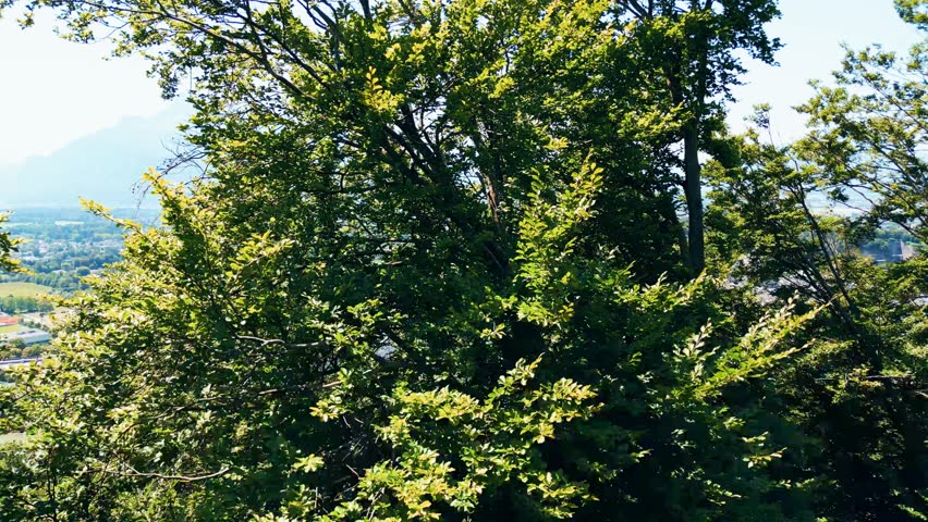 Salzburg, Austria, aerial view of the historic old town with Hohensalzburg Fortress, Salzach River, baroque architecture and surrounding Alps. Captured on a sunny summer day from a drone