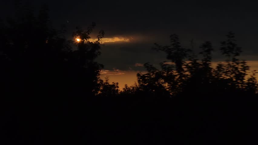 Beautiful red sunset with trees in between 