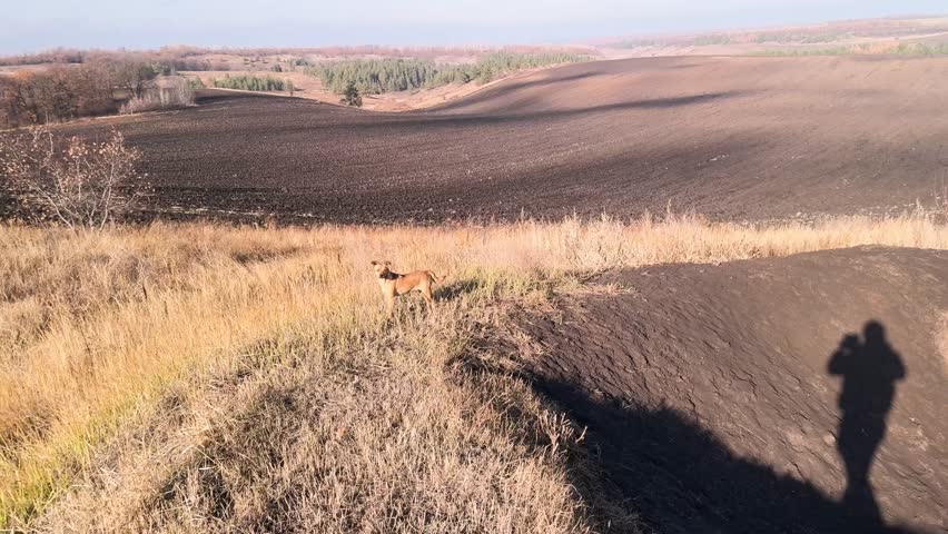 Natural gas production in Ukraine, Kharkov region. Special pit for burning gas condensate - a barn. The production controller walks with a dog