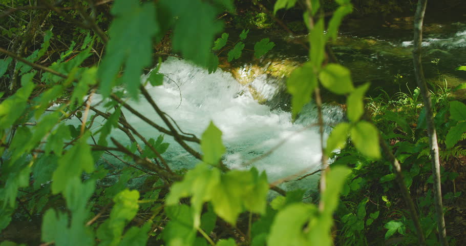 Close-up of water rushing through a stream with branches and green leaves in focus