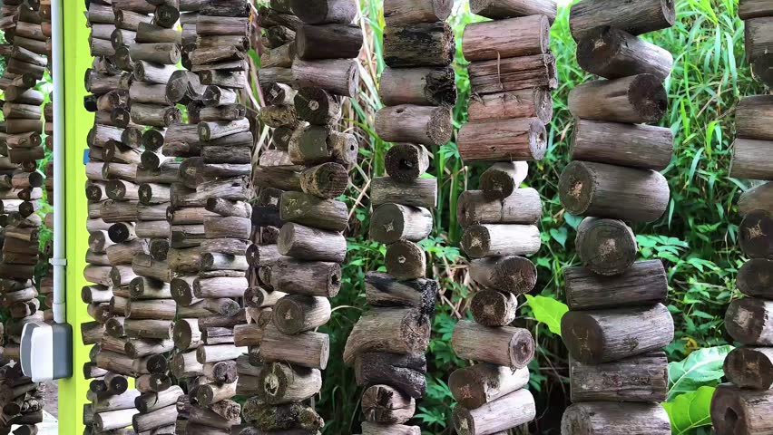 A decorative curtain made from dried tree branches, artistically arranged to create a natural and rustic look. This handmade piece adds a touch of organic charm and earthy texture to any space.